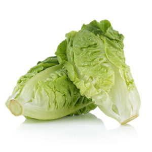 Veg - Lettuce